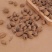 砂仁毛砂仁香料砂仁进口砂仁云南砂仁可打粉专业批发