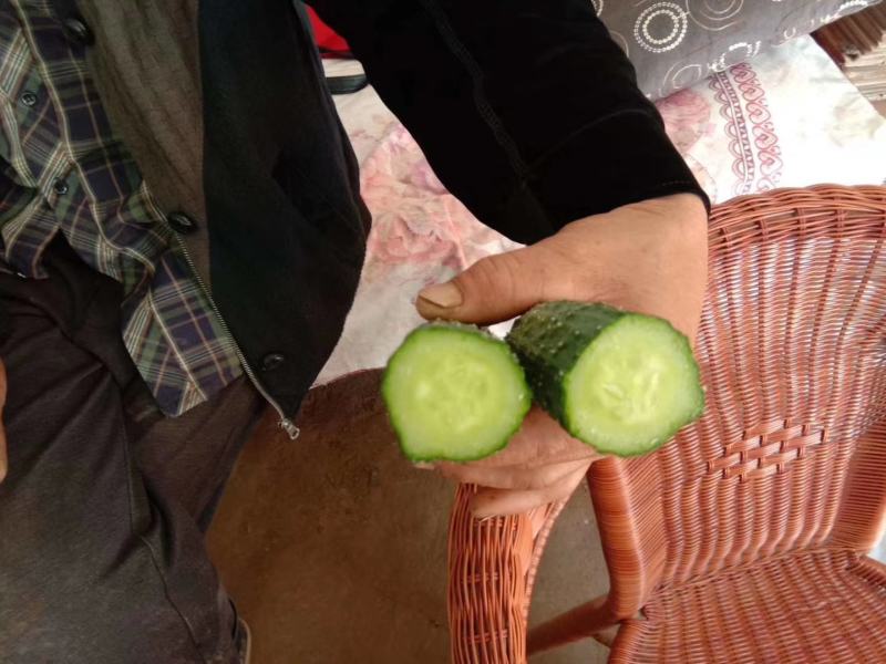 产地直供，精品大苏椒，薄皮椒各种辣椒，，，