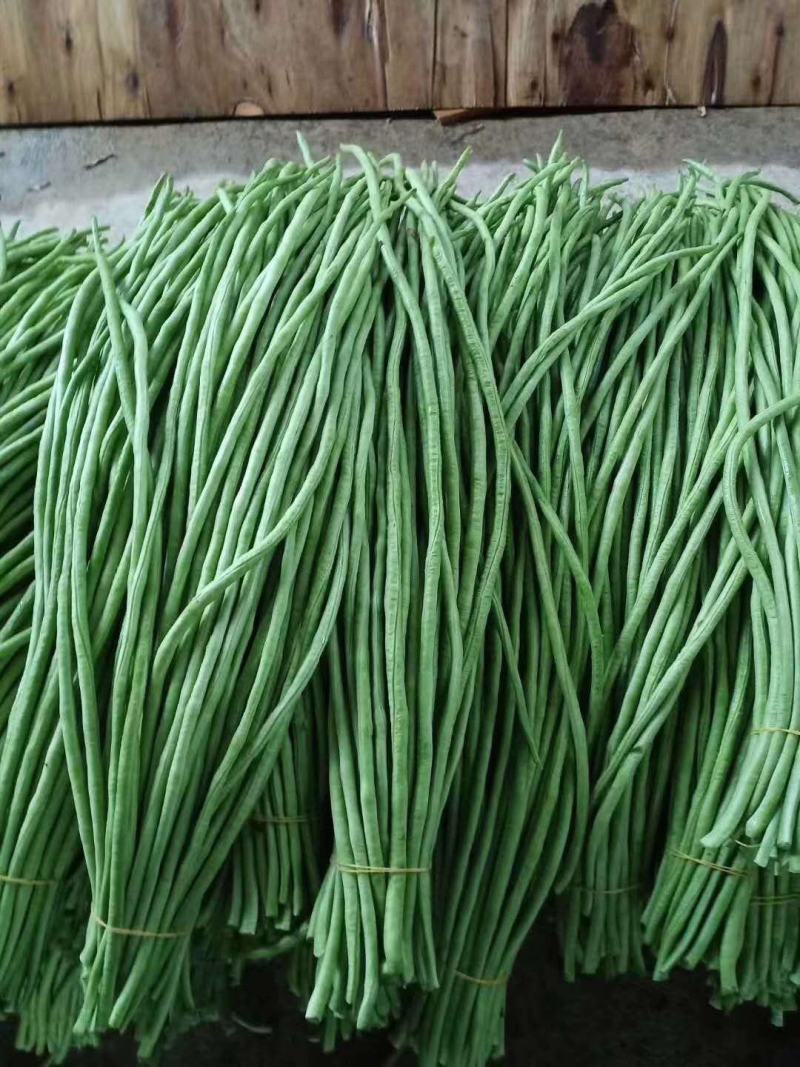 广东豆角，蔬菜豆角，豇豆，产区直发，大量上市供应中
