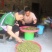 山豆根种子（质量保证，出芽率95%以上，包技术指导）