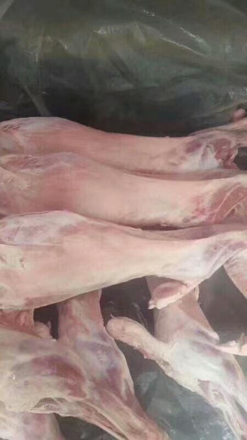 羊板肉新鲜国产纯干肉