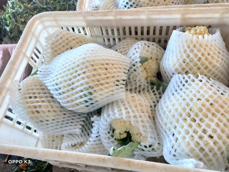 精品散花精品菜花加工厂商超量大质优产地直发