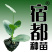 宿都种苗优质美都嫁接西瓜苗，嫁接美都西瓜苗