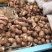 山东芋头8520大量上市可对接超市、网店，各大市场供应