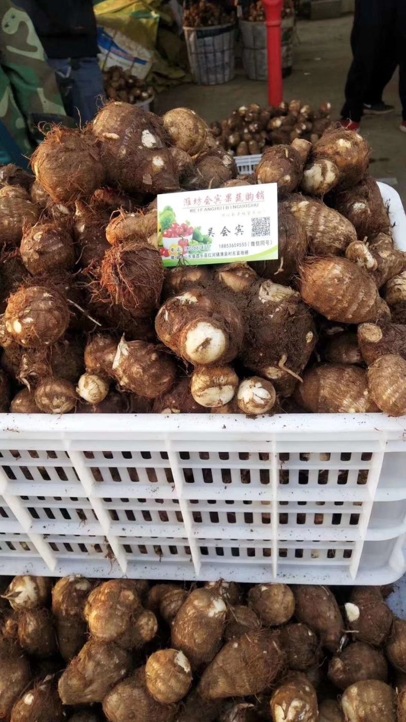 山东芋头8520大量上市可对接超市、网店，各大市场供应