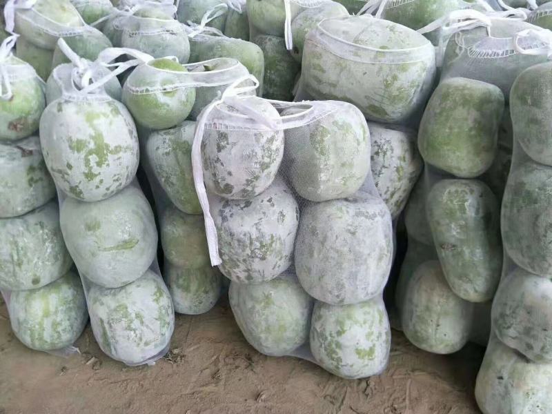 冬瓜，一串零，五到十斤，精品，供应市场，学府食堂。