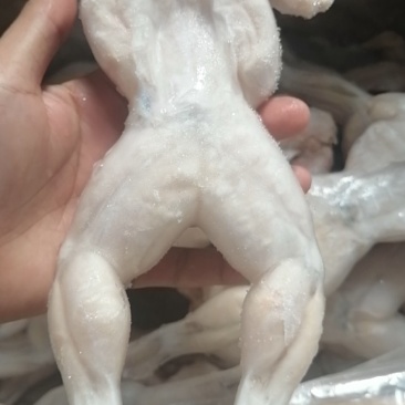 牛蛙，牛蛙，牛蛙，牛蛙，冻牛蛙