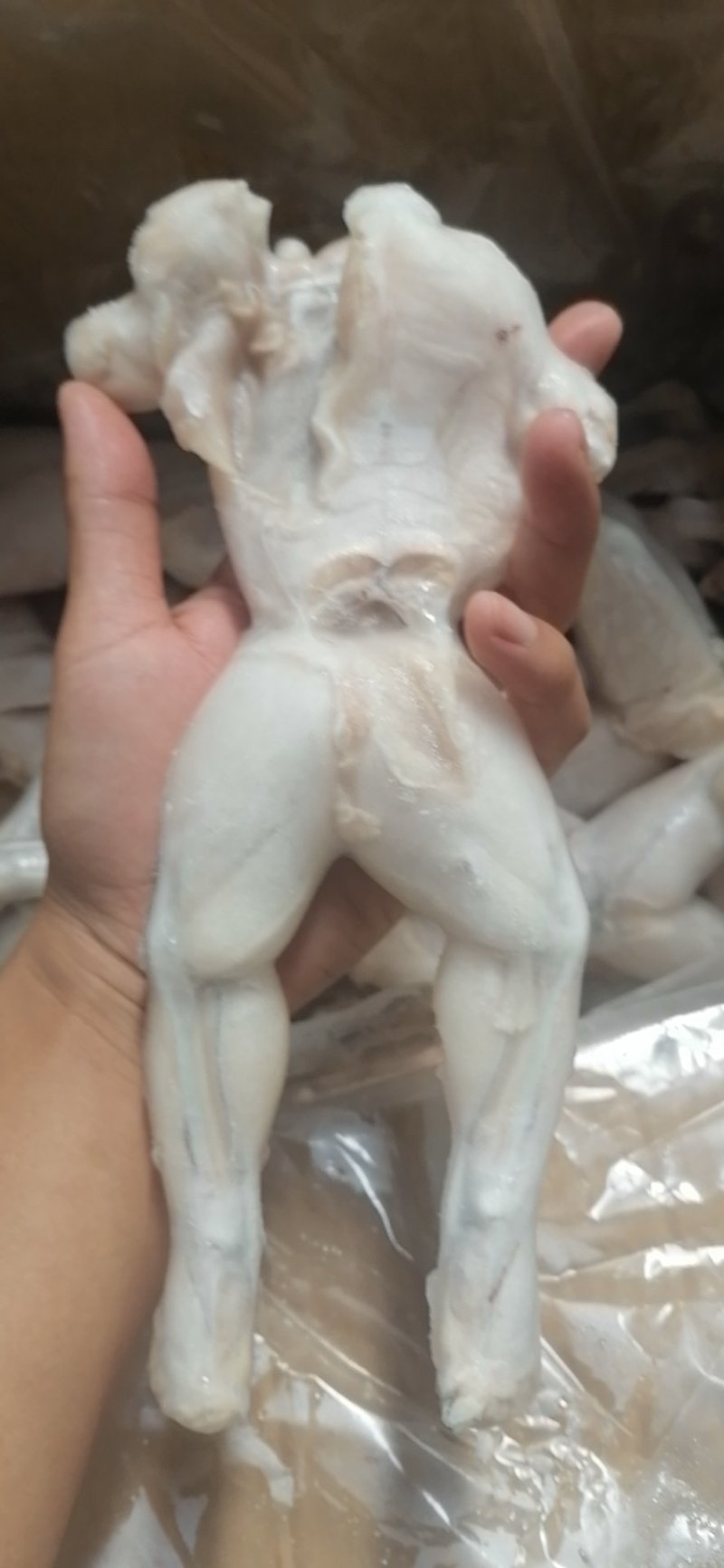 牛蛙，牛蛙，牛蛙，牛蛙，冻牛蛙