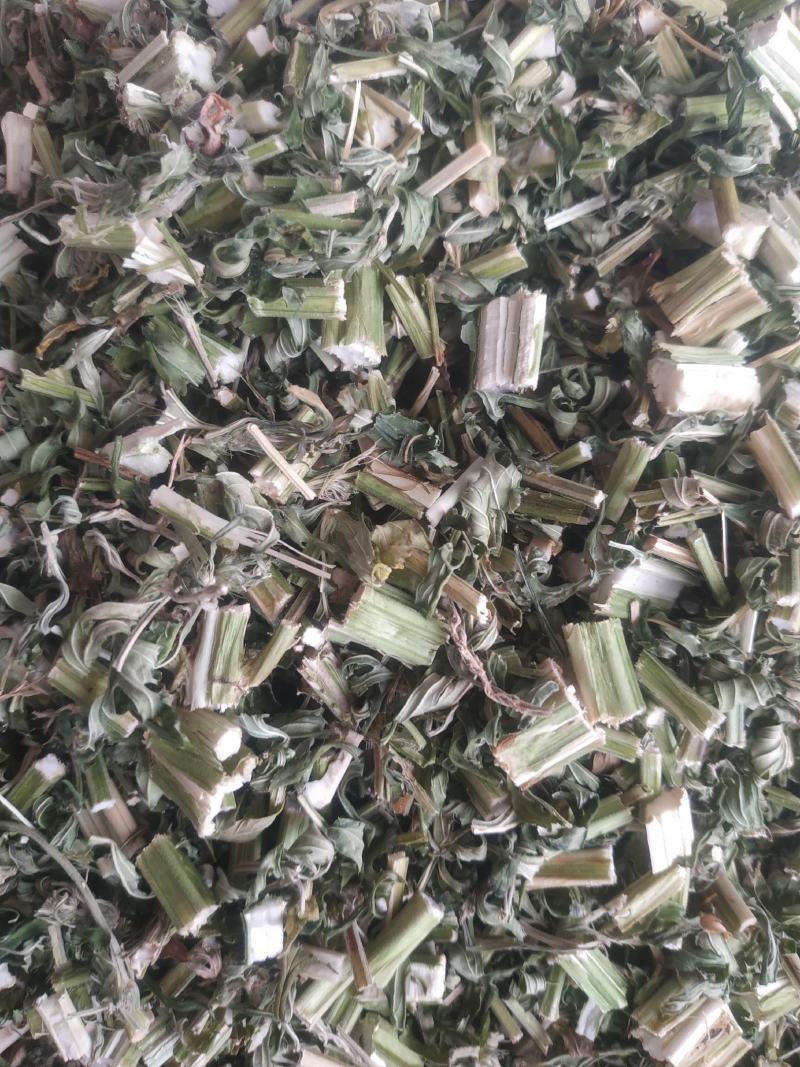 益母草～新货～青绿～量大优惠～1公斤起售～