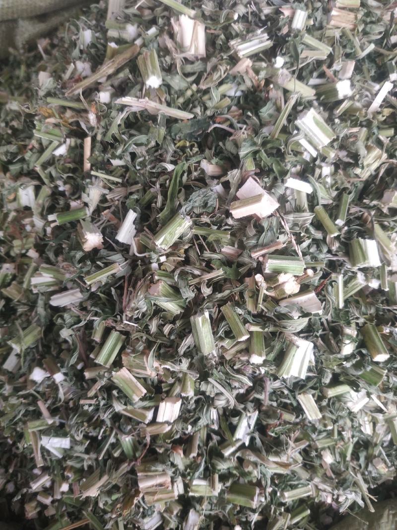 益母草～新货～青绿～量大优惠～1公斤起售～