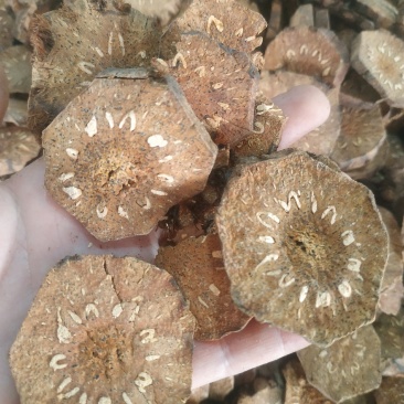管仲～新货圆片～量大优惠～1公斤起售～欢迎咨询采购