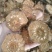 管仲～新货圆片～量大优惠～1公斤起售～欢迎咨询采购
