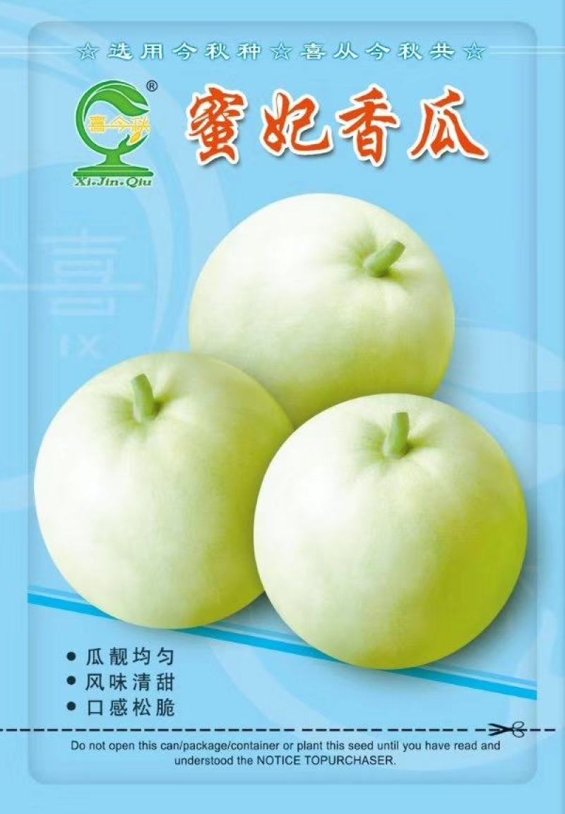 蜜妃香瓜早熟肉质细腻口感清甜抗病丰产