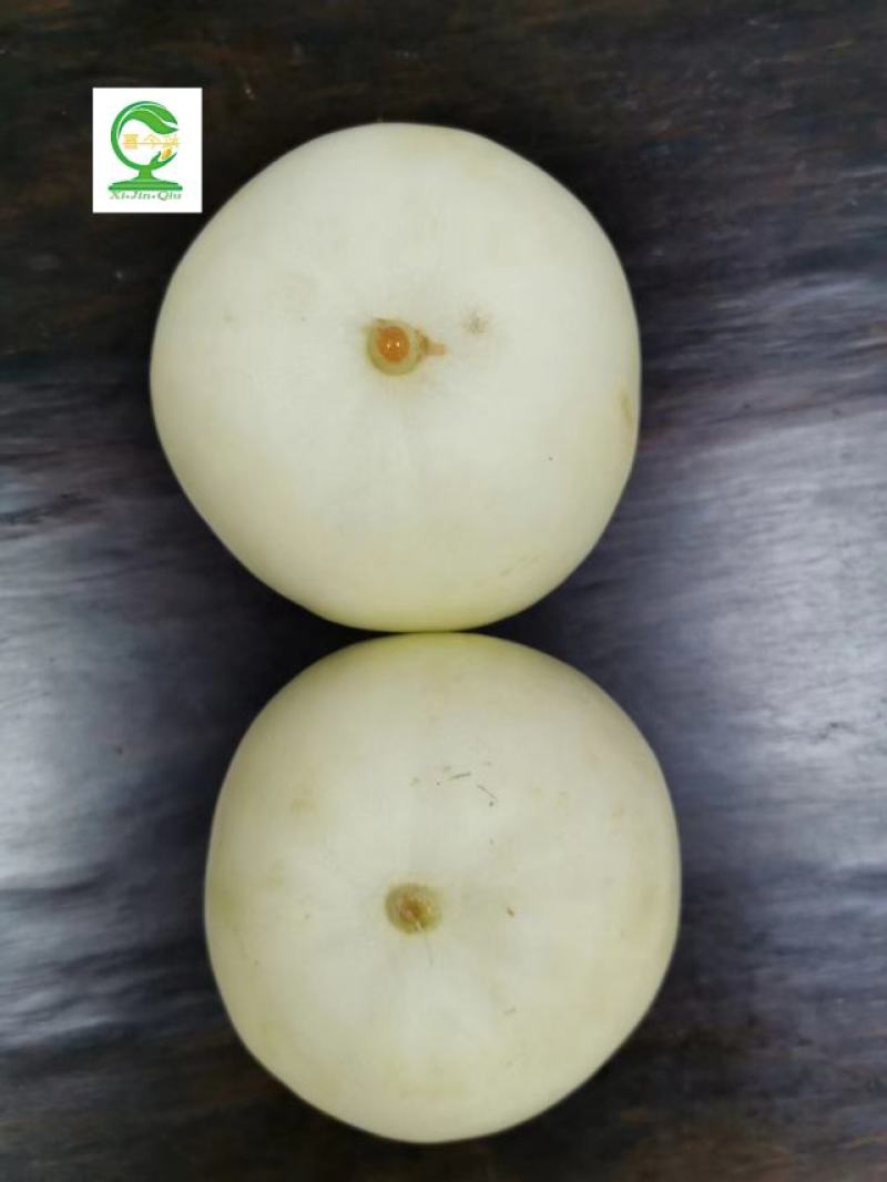 蜜妃香瓜早熟肉质细腻口感清甜抗病丰产