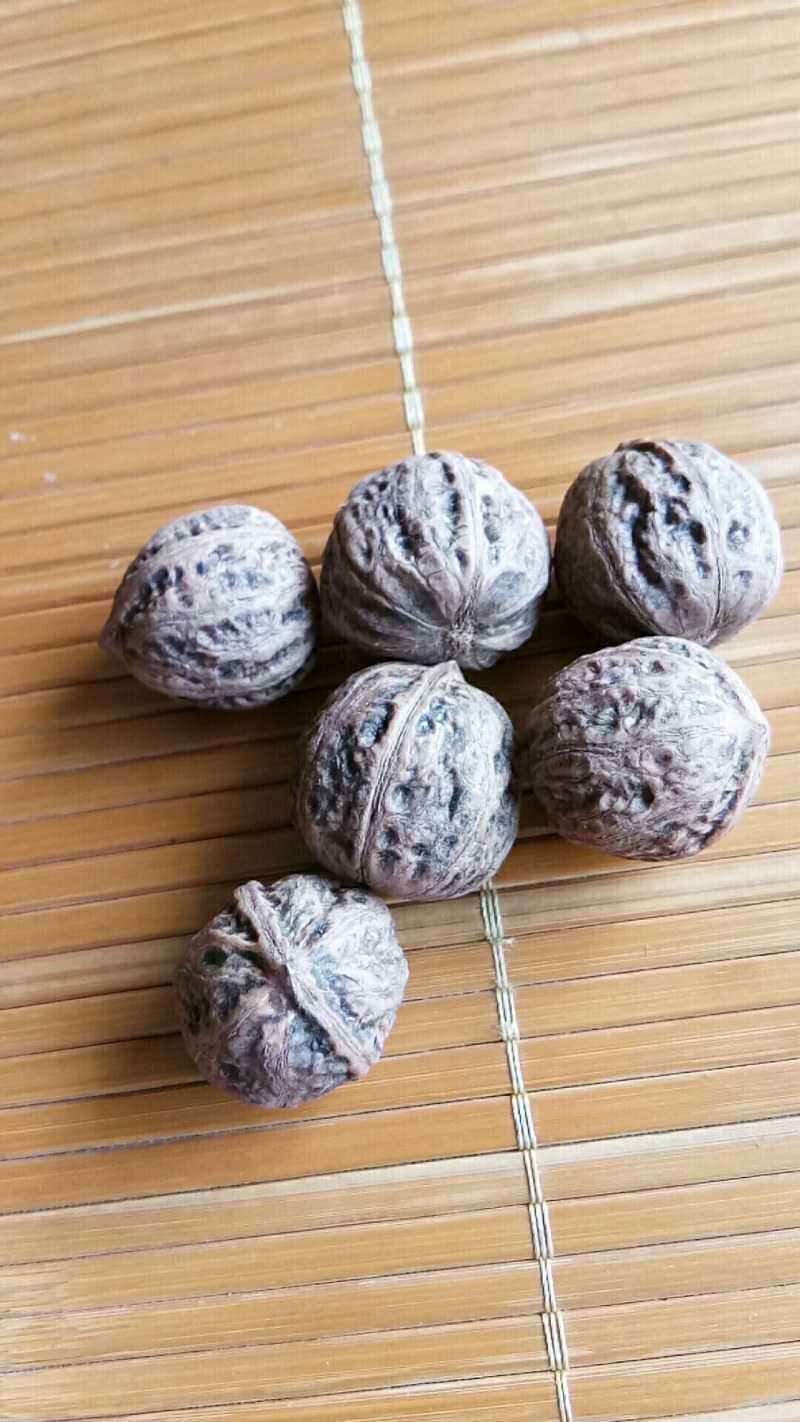 野生山核桃，一件代发，大山的馈赠，山核桃，中药原材料