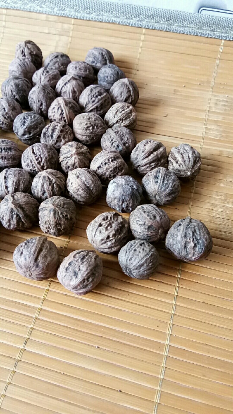野生山核桃，一件代发，大山的馈赠，山核桃，中药原材料