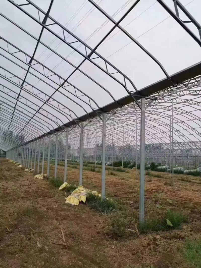 厂家定制各种养殖棚，种植棚！诚信经营！玻璃温室，连栋大棚
