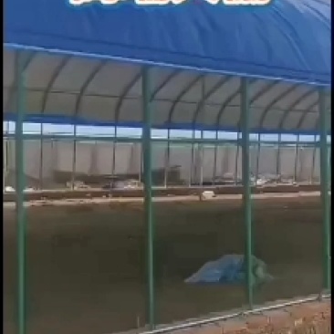 厂家定制各种养殖棚，种植棚！诚信经营！玻璃温室，连栋大棚