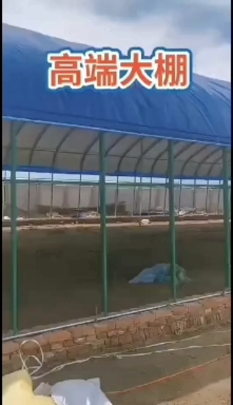 厂家定制各种养殖棚，种植棚！诚信经营！玻璃温室，连栋大棚