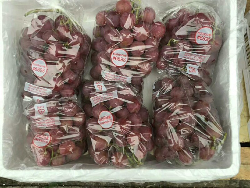 山东海阳有两万亩红提。大量供应山东海阳精品红提。