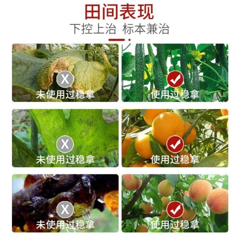 20%噁霉灵乙蒜素辣椒炭疽病规格22克500克1000