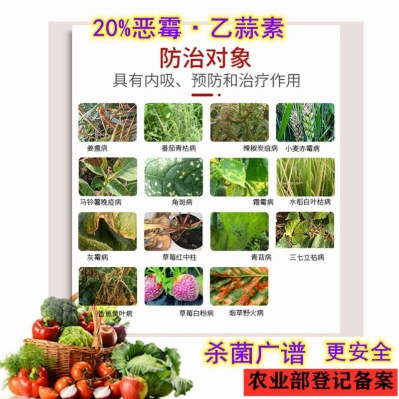 20%噁霉灵乙蒜素辣椒炭疽病规格22克500克1000