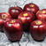 （热销）网红蛇果花牛苹果口感甜一手货源保质保量。