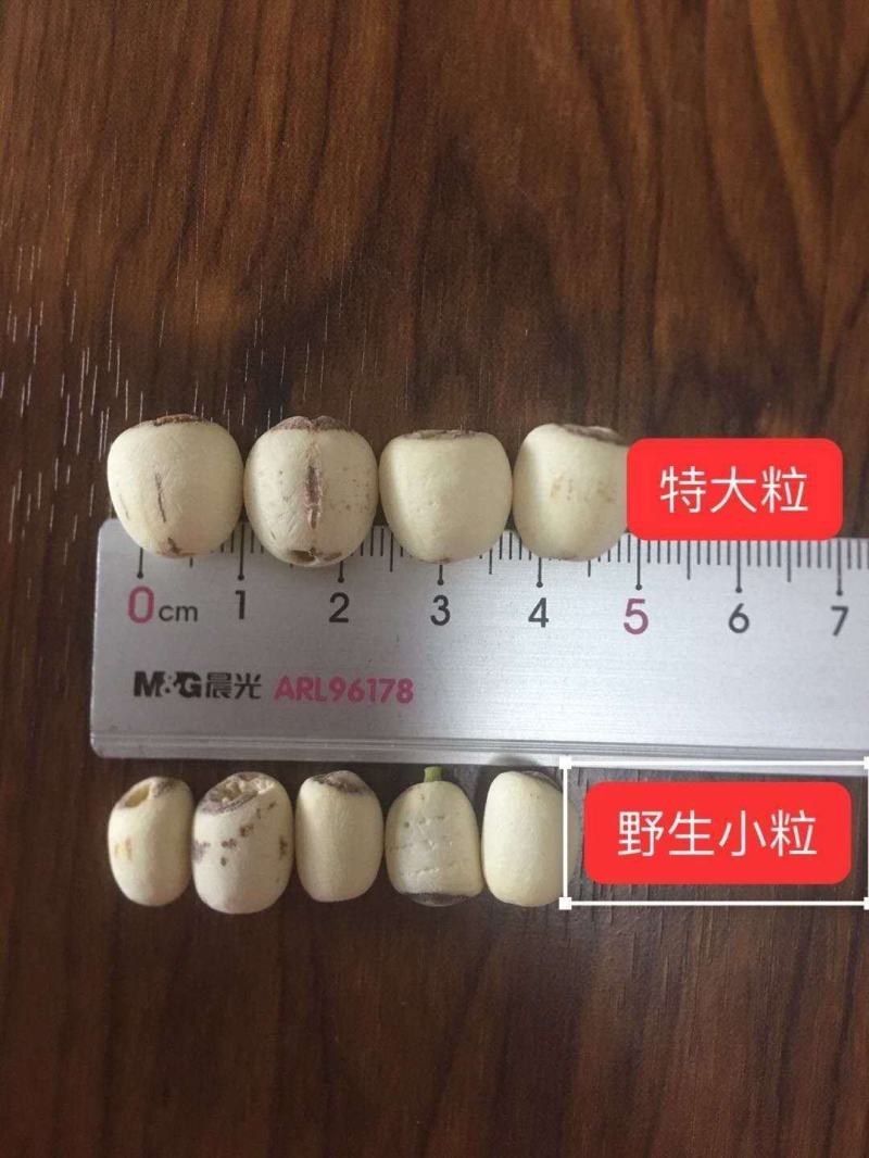 白莲子湘白莲一级颗粒饱满均匀肉质厚