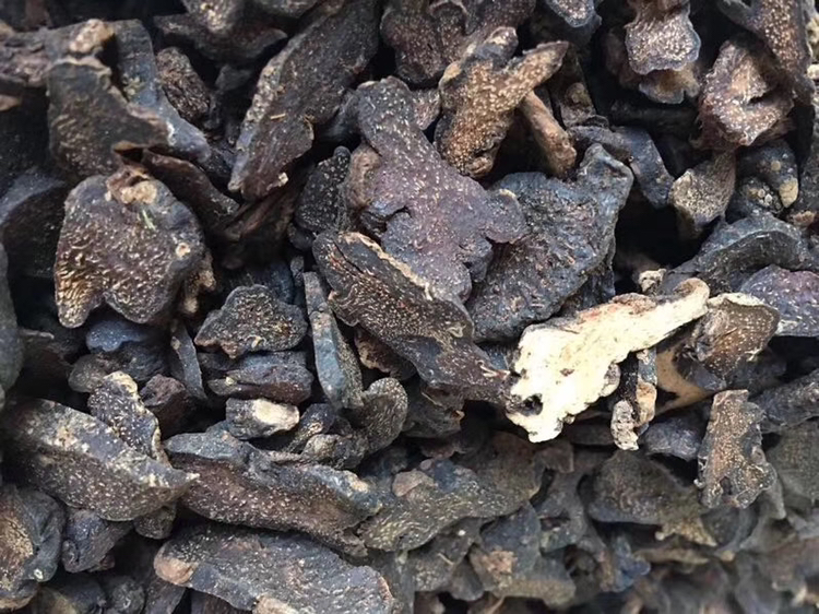 熟地黄药材特写