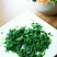 荠菜速冻食品冷冻野菜馅30斤荠菜装新鲜切碎保鲜馄饨饺子包