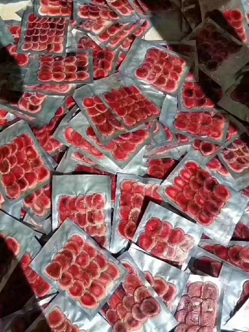 南方鹿皇梅花鹿新鲜鹿茸