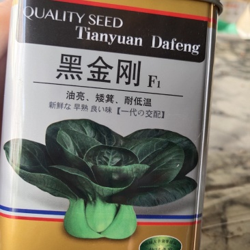 黑金刚，油亮矮箕，耐低温，早熟一代交配，零下6度也能生种