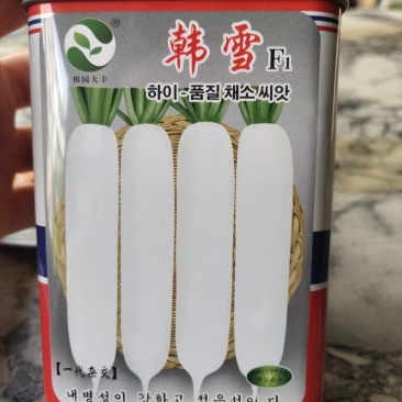 韩雪白萝卜，一代杂交，叶数少，整齐，长圆筒形，耐抽苔，