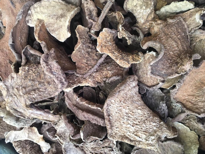 金不换【包邮】三斤起发货可批量可零售量大从优