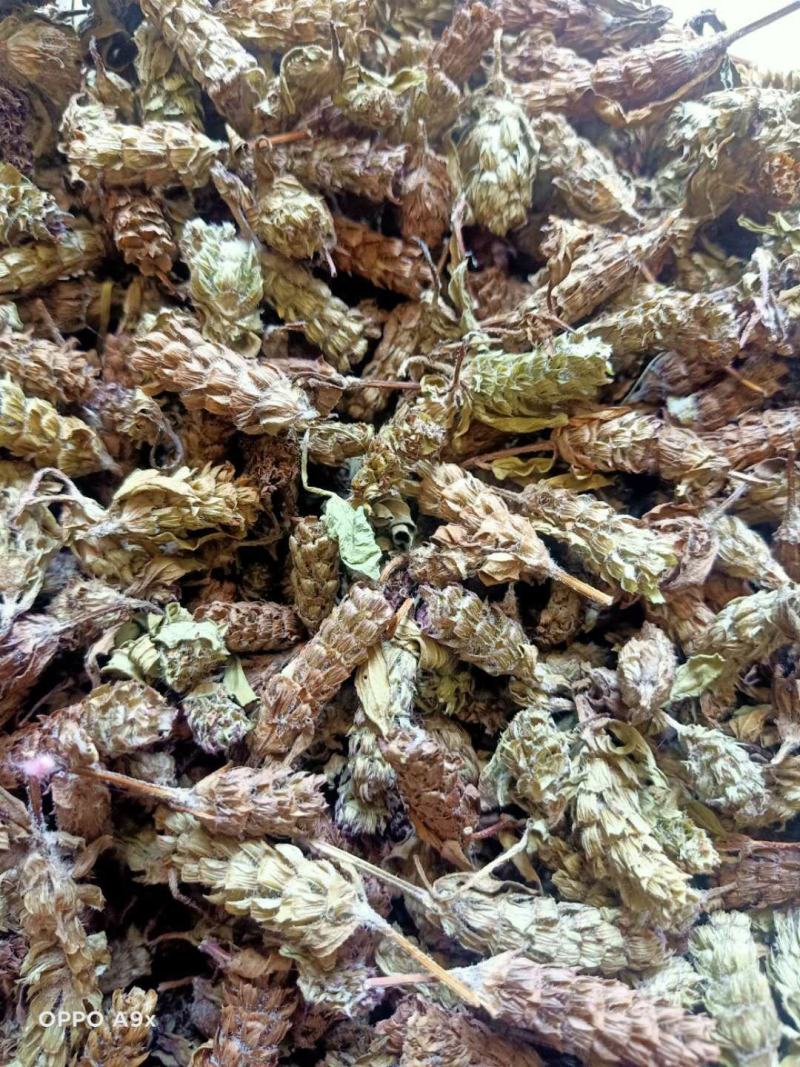 夏枯草，野生贵州货，含量高，干净无霉