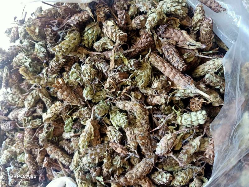 夏枯草，野生贵州货，含量高，干净无霉