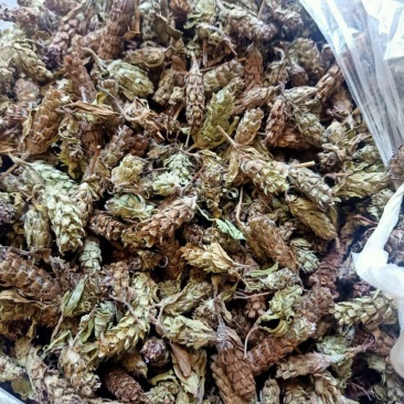 夏枯草，野生贵州货，含量高，干净无霉