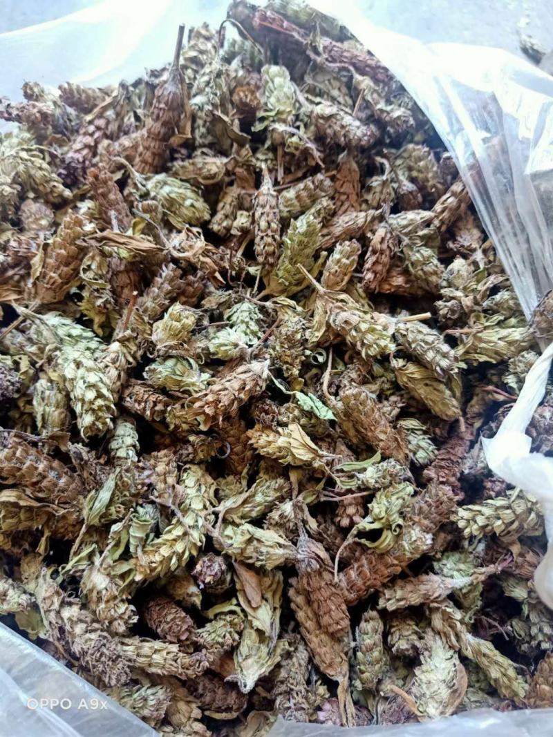 夏枯草，野生贵州货，含量高，干净无霉