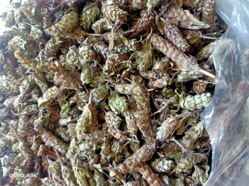 夏枯草，野生贵州货，含量高，干净无霉