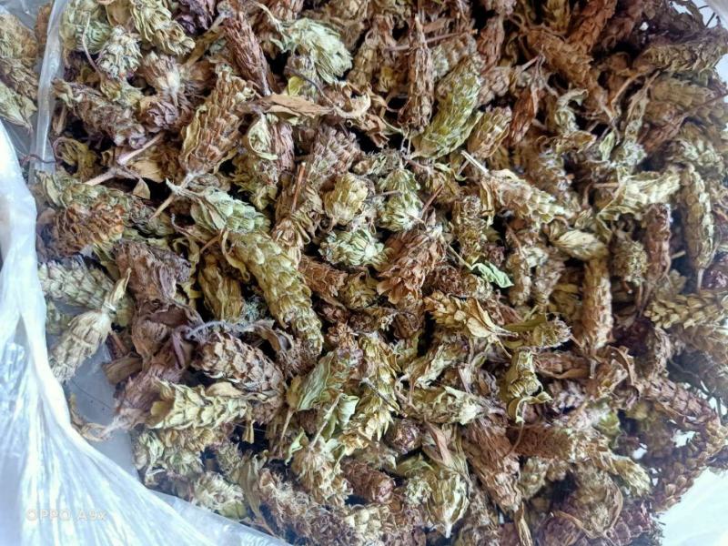 夏枯草，野生贵州货，含量高，干净无霉