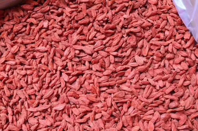 枸杞与川断的干燥形态展示图