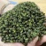 青花椒花椒干青花椒麻度高不带刺2020年新货