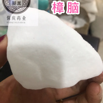 樟脑樟脑保庆药业批发樟脑实物拍摄