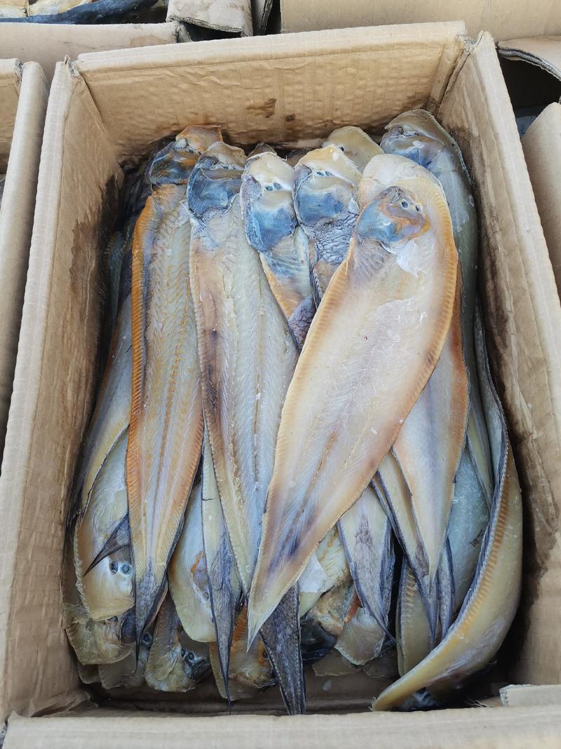 鳎米鱼，又名龙利鱼，一款优质的深海鱼，肉质非常美鲜美