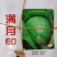 甘蓝苗圆包菜苗基地一手货源，苗子粗壮，根须发达，成活率高