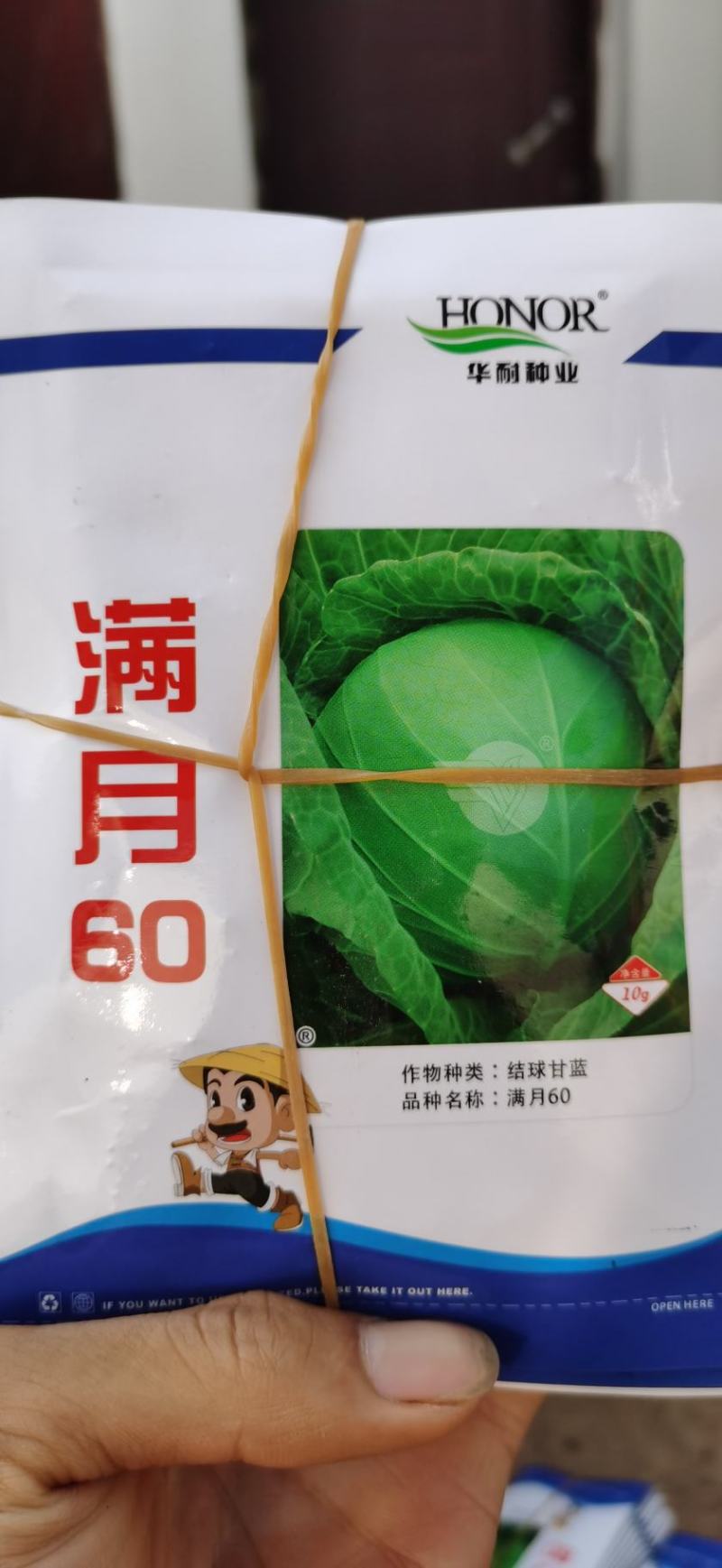 甘蓝苗圆包菜苗基地一手货源，苗子粗壮，根须发达，成活率高