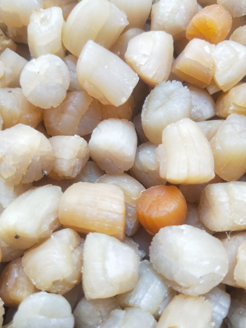 原汁瑶柱干贝海边直接加工晒制瑶柱干贝