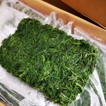 碱蓬菜黄须菜，酒店宴会食材拌凉菜做馅用，好吃
