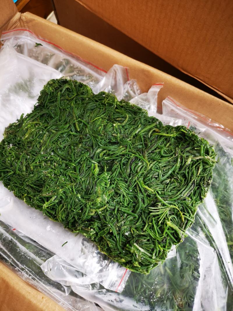 碱蓬菜黄须菜，酒店宴会食材拌凉菜做馅用，好吃