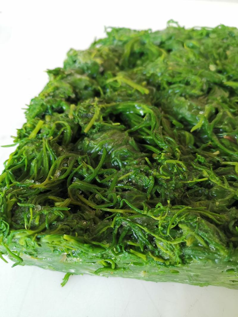 碱蓬菜黄须菜，酒店宴会食材拌凉菜做馅用，好吃